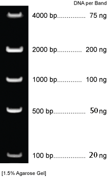 DNA MARKER: DNA Mass Marker, Cat#BN2055